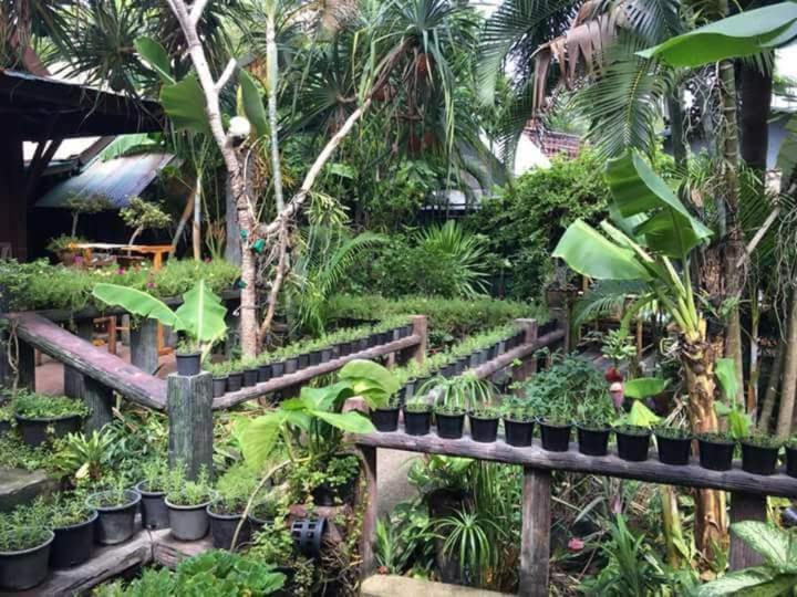 P P Garden Home Bungalow Phi Phi-øyene Eksteriør bilde